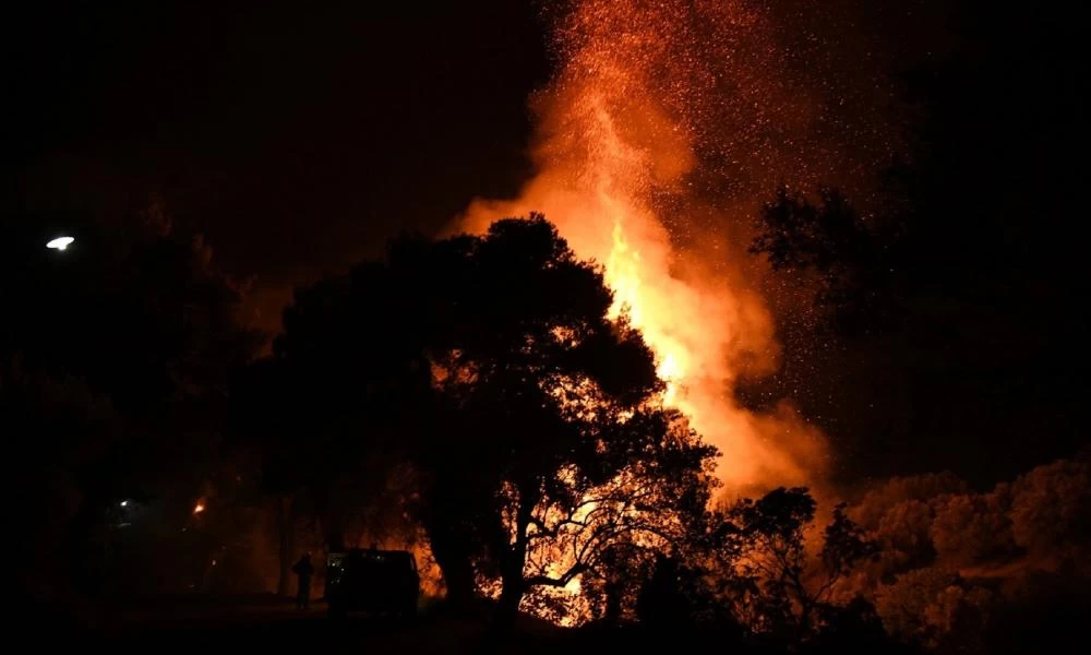 Τέθηκε υπό μερικό έλεγχο η φωτιά στην Νεμέα